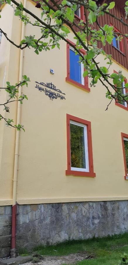 Haus Stefanie Elvire Apartment Altenberg Exterior photo